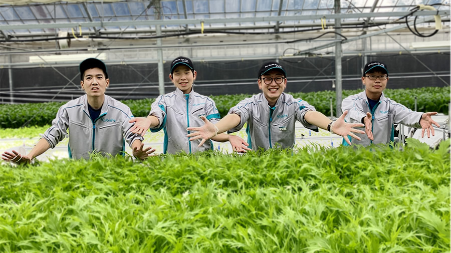 野菜の生産・販売